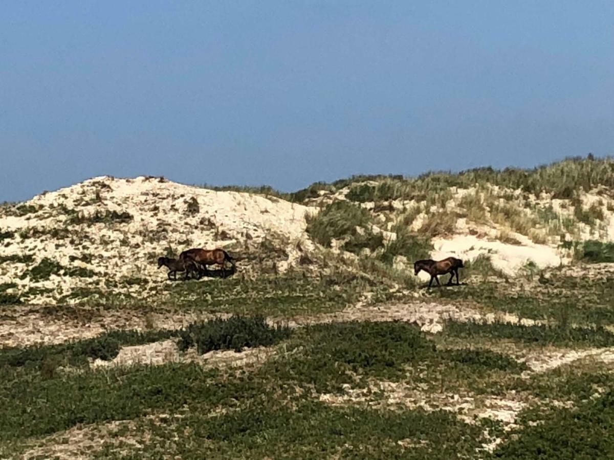Ferienhaus Gluecklich Am Meer 3 Mit Wellnesszugang Egmond aan Zee Exteriér fotografie